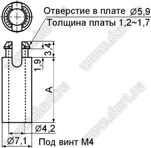 SS4-30 фиксатор платы с защелкой и отверстием d=4.2 мм; A=30,0мм; dп=5,9мм; s=1,2…1,7мм; нейлон-66 (UL); натуральный