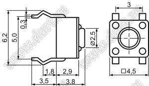 TVCP02-3.8 кнопка тактовая для выводного монтажа; 4,5x4,5x3,8мм; H=3,8мм