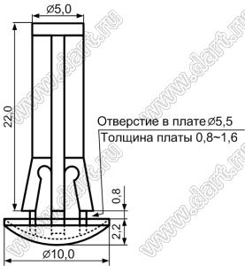 RAM-22 фиксатор платы с защелкой в шасси; A=21,7мм; d отв.=5,5мм; t=0,8...1,6мм; нейлон-66; натуральный