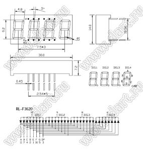 RL-F3620GDBW/D57 (F1346BG) матрица светодиодная 4x7сегментов, 0,36", общий анод, цвет излучения зеленый (570нм), 3300мкд/сегмент; 0,36"; 4-разр.; 7-сегм.