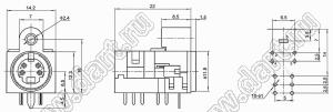 MDCK-4-05 гнездо мини-DIN угловое на плату и корпус, 4 контакта с переключателем