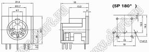 DS-5-04 розетка (гнездо) DIN на плату угловая; 5-конт.