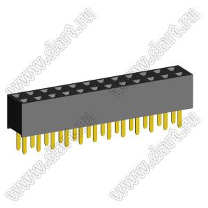 2207S-24G (2x12)(PBD2-24) розетка прямая двухрядная (гнездо) на плату для монтажа в отверстия, шаг 2,00 x 2,00 мм, 2х12 конт.