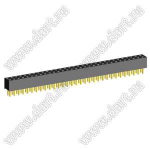 2207S-62G (2x31)(PBD2-62) розетка прямая двухрядная (гнездо) на плату для монтажа в отверстия, шаг 2,00 x 2,00 мм, 2х31 конт.