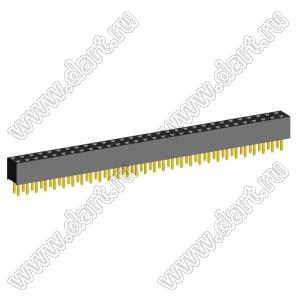2207S-60G (2x30)(PBD2-60) розетка прямая двухрядная (гнездо) на плату для монтажа в отверстия, шаг 2,00 x 2,00 мм, 2х30 конт.