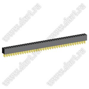 2207S-72G (2x36)(PBD2-72) розетка прямая двухрядная (гнездо) на плату для монтажа в отверстия, шаг 2,00 x 2,00 мм, 2х36 конт.