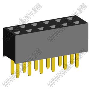 2207S-12G (2x6)(PBD2-12) розетка прямая двухрядная (гнездо) на плату для монтажа в отверстия, шаг 2,00 x 2,00 мм, 2х6 конт.
