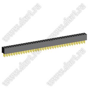 2207S-68G (2x34)(PBD2-68) розетка прямая двухрядная (гнездо) на плату для монтажа в отверстия, шаг 2,00 x 2,00 мм, 2х34 конт.