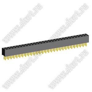 2207S-58G (2x29)(PBD2-58) розетка прямая двухрядная (гнездо) на плату для монтажа в отверстия, шаг 2,00 x 2,00 мм, 2х29 конт.