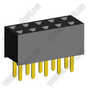 2207S-10G (2x5)(PBD2-10) розетка прямая двухрядная (гнездо) на плату для монтажа в отверстия, шаг 2,00 x 2,00 мм, 2х5 конт.