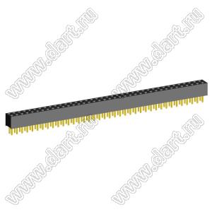 2207S-76G (2x38)(PBD2-76) розетка прямая двухрядная (гнездо) на плату для монтажа в отверстия, шаг 2,00 x 2,00 мм, 2х38 конт.