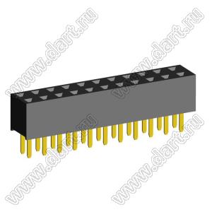 2207S-22G (2x11)(PBD2-22) розетка прямая двухрядная (гнездо) на плату для монтажа в отверстия, шаг 2,00 x 2,00 мм, 2х11 конт.