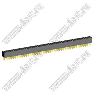 2207S-80G (2x40)(PBD2-80) розетка прямая двухрядная (гнездо) на плату для монтажа в отверстия, шаг 2,00 x 2,00 мм, 2х40 конт.