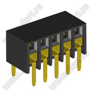 2207BR-10G розетка прямая двухрядная с боковым входом на плату для монтажа в отверстия; шаг 2,00 x 2,00 мм; (2x5) конт.