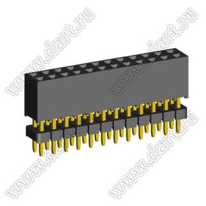 2207SDI-24G-935 розетка прямая двухрядная с двойным изолятором (гнездо) на плату для монтажа в отверстия, шаг 2,00 x 2,00 мм А=3,8мм, В=9,35мм, 2х12 конт.