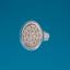 SL-SDW24BIP лампа светодиодная  белая 24 led