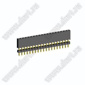2209SDI-19G-935 розетка прямая однорядная с двойным изолятором (гнездо) на плату для монтажа в отверстия, шаг 2,00 мм А=3,8мм, В=9,35мм, 19 конт.
