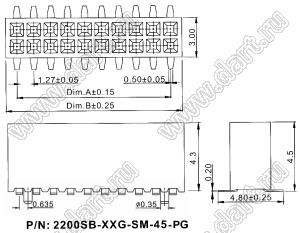 2200SB-XXXG-SM-45-PG серия