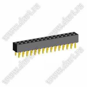 2214TB-30G-03 розетка двухрядная прямая (гнездо) на плату для монтажа в отверстия, высота изолятора 5,0 мм; шаг 2,54 x 2,54 мм; C=3,81 мм; 2х15 конт.