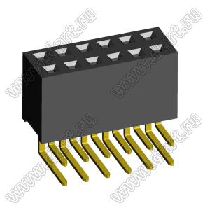 2214R-12G-72 розетка двухрядная угловая на плату для монтажа в отверстия, шаг 2,54 x 2,54 мм; 12-конт.