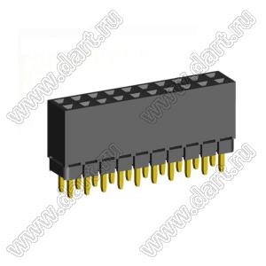 2207SDI-20G-1A розетка прямая двухрядная с увеличенным изолятором (гнездо) на плату для монтажа в отверстия, шаг 2,00 x 2,00 мм, А=2,3мм, В=7,85мм, 2х10 конт.