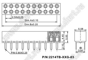 2214TB-24G-03 розетка двухрядная прямая (гнездо) на плату для монтажа в отверстия, высота изолятора 5,0 мм; шаг 2,54 x 2,54 мм; C=3,81 мм; 2х12 конт.