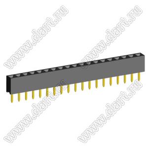 2209S-19G (PBS2-19, DS1026-01-1x19S8BV) розетка прямая однорядная (гнездо) на плату для монтажа в отверстия, шаг 2,00 мм, 19 конт.; P=2,0мм; 19-конт.
