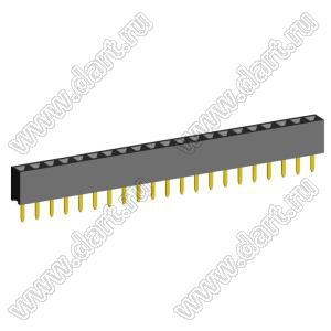 2209S-21G (PBS2-21, DS1026-01-1x21S8BV) розетка прямая однорядная (гнездо) на плату для монтажа в отверстия, шаг 2,00 мм, 21 конт.; P=2,0мм; 21-конт.