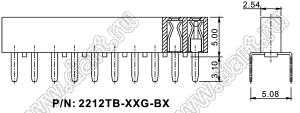 2212TB-16G-B2 розетка прямая однорядная (гнездо) на плату для монтажа в отверстия; P=2,54мм; 16-конт.