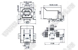 US10-104 (USBB-1SMT) розетка USB2.0 на плату SMD угловая тип B