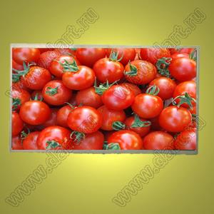 BLKD121C-1 дисплей TFT RGB; 12,1"дюйм; 1366*RGB*768,XVGAпикс.; 279*167,2*5,1мм