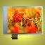 BLKD032C-3 дисплей TFT RGB; 3,2"дюйм; 240*RGB*320пикс.; 57,54*79,20*3,0мм