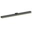 2207SM-68G-24-PCP розетка прямая двухрядная на плату для поверхностного (SMD) монтажа с захватом; шаг 2,00 x 2,00 мм; (2x34) конт.