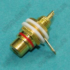 JL-0924BR (SOUNDKING CD111R) разъем на панель RCA "мама", позолоченый с тремя красными полосами
