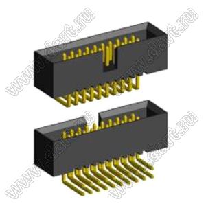 BL3230R-20G (BH1.27-20)  (2x10) вилка закрытая угловая на плату для монтажа в отверстия; шаг=1,27x1,27мм; 2x10-конт.