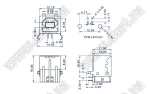 US10-654 розетка USB2.0 на плату для выводного монтажа угловая тип B