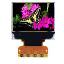 UG-9664HDDAG01 модуль OLED RGB; 0,95"дюйм; 96(RGB)x64пикс.; Uпит.=2.4~3,5В