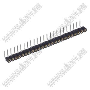 DS1002-01-1x24R13 (SCSL-24R, PBSM-1x24R) гнездо цанговое угловое однорядное для выводного монтажа; P=2,54мм; 24-конт.