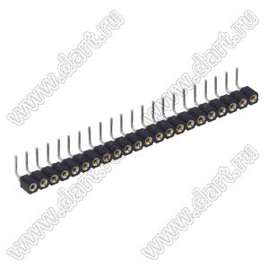 DS1002-01-1x22R13 (SCSL-22R, PBSM-1x22R) гнездо цанговое угловое однорядное для выводного монтажа; P=2,54мм; 22-конт.