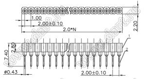 DS1002-02-2x256BT1F6 (6833S-25) гнездо цанговое прямое двухрядное для выводного монтажа; P=2,0x2,0мм; 2x25-конт.