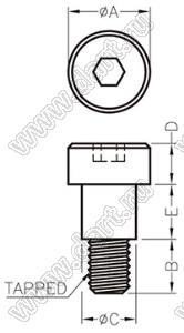 TGM4-13SW винт амортизатора; M4*0,7; A=8,0мм; B=7,25мм; C=5,0мм; E=4,01мм; сталь нержавеющая