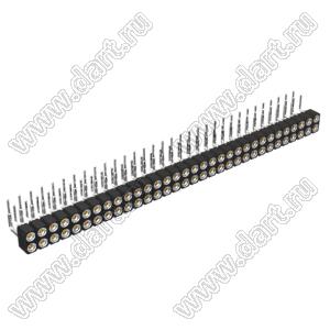 DS1002-01-2x32R13 (SCDL-032R, PBDM-2x32R) гнездо цанговое угловое двухрядное для выводного монтажа; P=2,54мм; 2x32-конт.