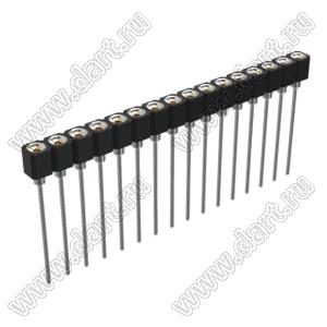 DS1007-1x16BT1XSF6