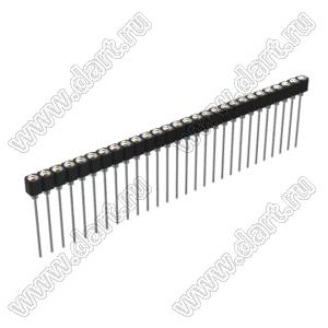 DS1007-1x28BT1XSF6