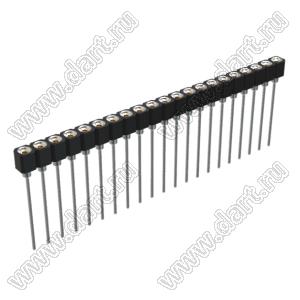 DS1007-1x21BT1XSF6