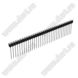 DS1007-1x33BT1XSF6