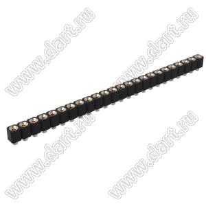 DS1002-06-1x2468 гнездо цанговое прямое однорядное для выводного монтажа; P=2,54мм; 24-конт.