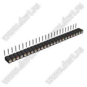 DS1002-08-1x24R13420 гнездо цанговое угловое однорядное для выводного монтажа; P=2,54мм; 24-конт.