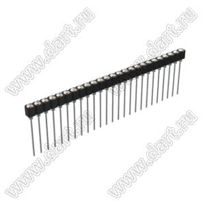 DS1007-1x25BT1XSF6