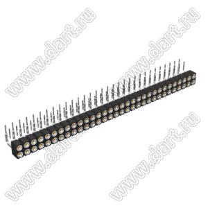 DS1002-01-2x31R13 (SCDL-031R, PBDM-2x31R) гнездо цанговое угловое двухрядное для выводного монтажа; P=2,54мм; 2x31-конт.